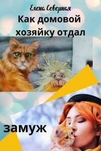 Как домовой хозяйку отдал замуж - Елена Северная