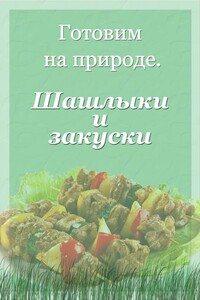 Шашлыки и закуски - Илья Валерьевич Мельников