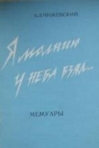 Я молнию у неба взял... - Александр Леонидович Чижевский