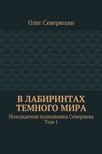 В лабиринтах тёмного мира - Олег Васильевич Северюхин