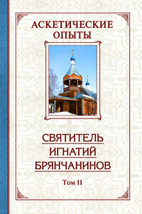 Аскетические опыты. Том 2 - Игнатий