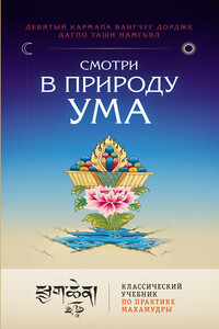 Смотри в природу ума. Классический учебник по практике Махамудры - Вангчуг Дордже, Дагпо Таши Намгьял