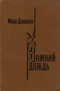 Зимний дождь - Иван Петрович Данилов
