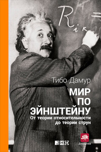 Мир по Эйнштейну. От теории относительности до теории струн - Тибо Дамур