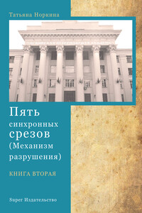 Пять синхронных срезов (механизм разрушения). Книга вторая - Татьяна Геннадьевна Норкина
