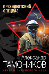 Ангелы сирийского неба - Александр Александрович Тамоников
