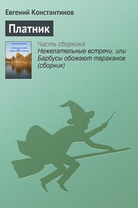 Платник - Евгений Михайлович Константинов
