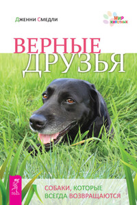 Верные друзья. Собаки, которые всегда возвращаются - Дженни Смедли