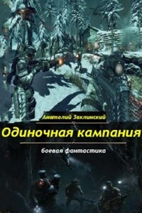 Одиночная кампания - Анатолий Владимирович Заклинский