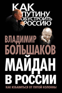 Майдан в России. Как избавиться от пятой колонны - Владимир Викторович Большаков