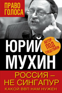 Россия — не Сингапур. Какой ВВП нам нужен - Юрий Игнатьевич Мухин