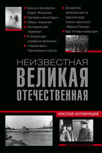 Неизвестная Великая Отечественная - Николай Николаевич Непомнящий