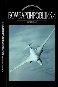 Бомбардировщики. Том I - Владимир Евгеньевич Ильин, Михаил Арсеньевич Левин