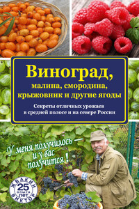 Виноград, малина, смородина, крыжовник и другие ягоды - Виктор Владимирович Жвакин