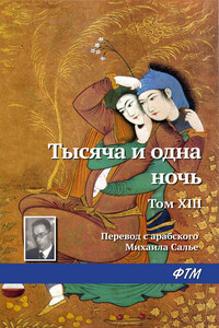 Тысяча и одна ночь. Том XIII - Неизвестный Автор
