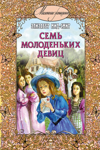 Семь молоденьких девиц, или Дом вверх дном - Элизабет Томазина Мид-Смит