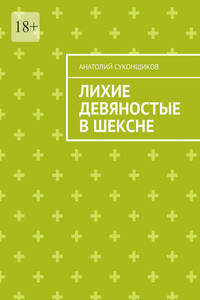 Лихие девяностые в Шексне - Анатолий Александрович Суконщиков
