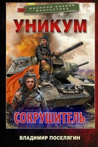 Сокрушитель - Владимир Геннадьевич Поселягин