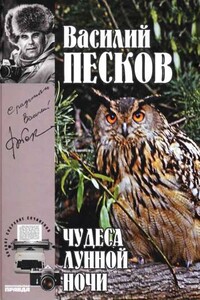 Том 15. Чудеса лунной ночи - Василий Михайлович Песков