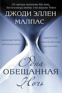 Одна обещанная ночь - Джоди Эллен Малпас