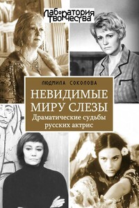 Невидимые миру слезы - Людмила Анатольевна Соколова