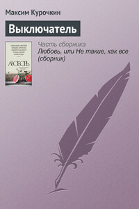 Выключатель - Максим Александрович Курочкин