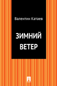 Зимний ветер - Валентин Петрович Катаев