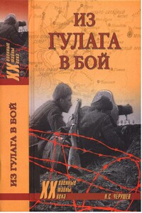 Из ГУЛАГа - в бой - Николай Семенович Черушев