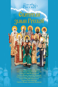 Святители земли Русской - Александр Сергеевич Ананичев