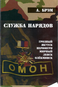 Книга I. Служба нарядов - Андрей Николаевич Ефремов