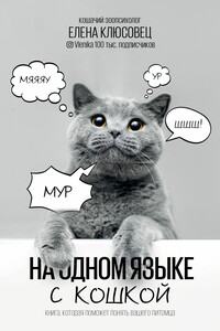 На одном языке с кошкой - Елена Валериевна Клюсовец