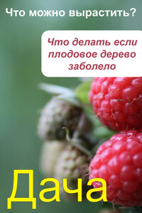 Что можно вырастить? Что делать, если плодовое дерево заболело - автор неизвестный