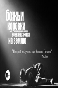 Божьи коровки возвращаются на землю - Василий Владимирович Сигарев