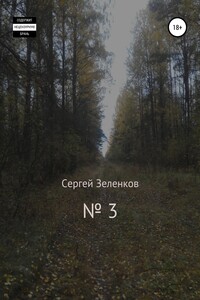 № 3 - Сергей Евгеньевич Зеленков