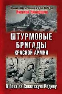 Штурмовые бригады Красной Армии в бою - Николай Иванович Никифоров