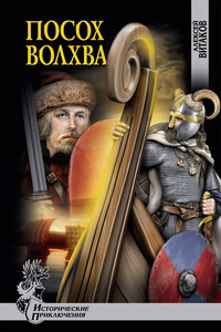 Посох волхва - Алексей Иольевич Витаков