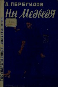 На медведя - Александр Владимирович Перегудов