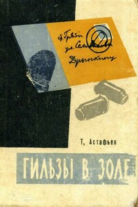 Гильзы в золе. Глазами следователя - Тихон Данилович Астафьев