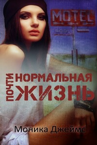 Почти нормальная жизнь - Моника Джеймс