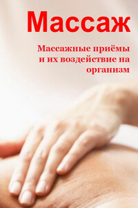 Массажные приемы и их воздействие на организм - Илья Валерьевич Мельников