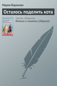 Осталось поделить кота - Мария Владимировна Воронова