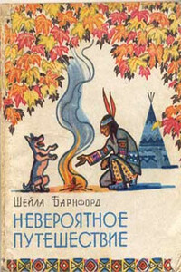 Невероятное путешествие - Шейла Барнфорд