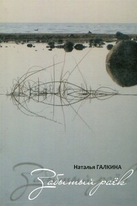 Забытый раёк: книга стихов - Наталья Всеволодовна Галкина