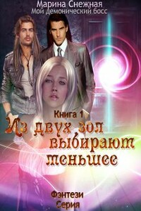 Из двух зол выбирают меньшее - Марина Александровна Снежная