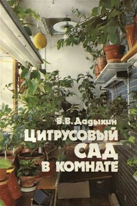 Цитрусовый сад в комнате - Венедикт Владимирович Дадыкин