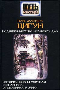 Путь мастера Цигун. Подвижничество Великого Дао. История жизни учителя Ван Липина, отшельника в миру - Чэнь Кайго, Чжэнь Шуньчао