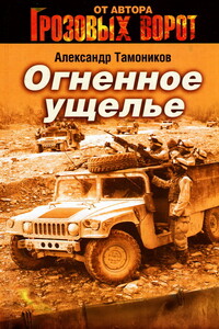 Огненное ущелье - Александр Александрович Тамоников