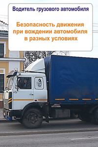 Грузовые автомобили. Безопасность движения при вождении автомобиля в разных условиях - Илья Валерьевич Мельников