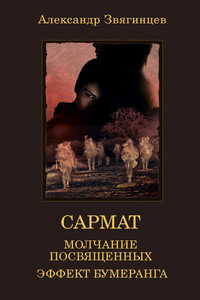 Молчание посвященных. Эффект бумеранга - Александр Григорьевич Звягинцев