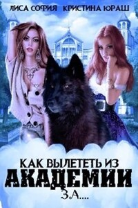 Как вылететь из Академии за… - Кристина Юрьевна Юраш, Лиса София